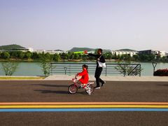 -羊山湖公园