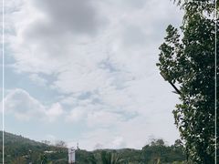 -海南槟榔谷黎苗文化旅游区