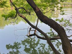 -东湖落雁景区