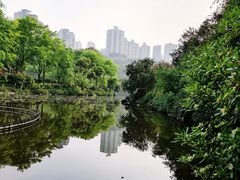 -龙头寺公园