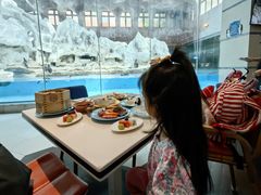 -帝企鹅自助餐厅•儿童岛•真企鹅(长隆企鹅酒店)