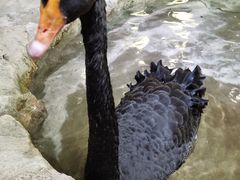 -海合安武汉极地海洋公园