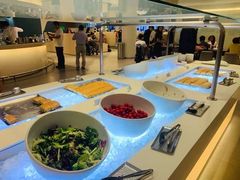 -首尔仁川机场ASIANA LOUNGE贵宾候机室(Incheon)