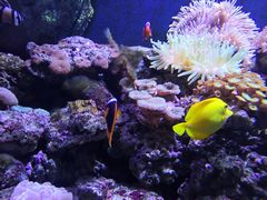 -成都浩海立方海洋公园