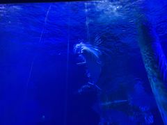 -临沂极地海洋王国