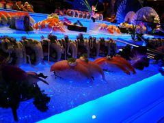 -亚马逊环球美食百汇(新城吾悦广场店)