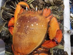 -吴记富苑(朝阳店)