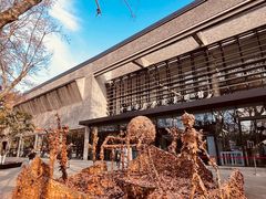 -中国美术学院-美术馆