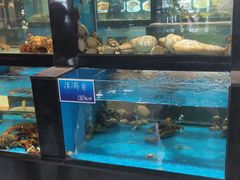 -奉天大饭店(澳海澜庭店)