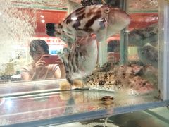 -天天渔港(杏林街店)