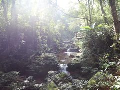 -海南热带雨林国家公园吊罗山景区