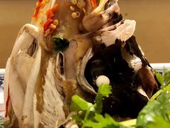 -湘潭九龙鱼头店(城南西路店)