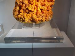 -中国地质大学逸夫博物馆