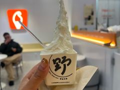 -野人先生现做冰淇淋(北京环宇荟店)