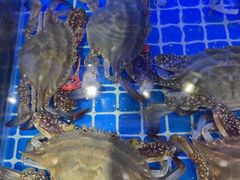 -77号渔船·蒸海鲜青岛菜(积米崖店)