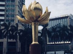 -金莲花广场