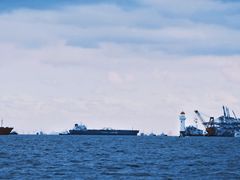 -上海吴淞炮台湾国家湿地公园