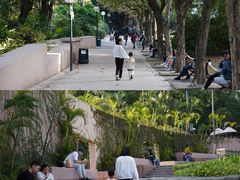 -九龙公园
