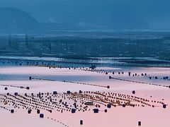 -北岐滩涂