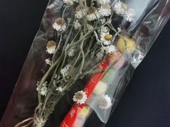 -椰子营·椰子鸡火锅(万象里店)