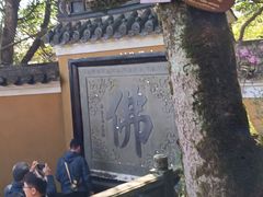 -普陀山慧济禅寺