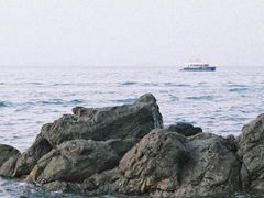 -杨梅坑
