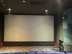 -龙之星国际影城(太平店)