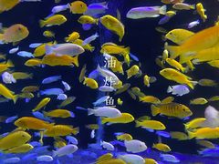 -成都浩海立方海洋公园