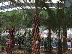 -灵山莲花公园-温泉度假区