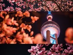 -东方明珠广播电视塔