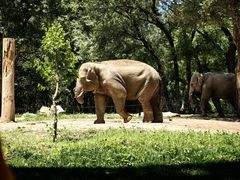 -北京野生动物园