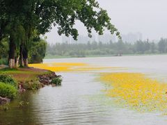 -西昌邛海湿地