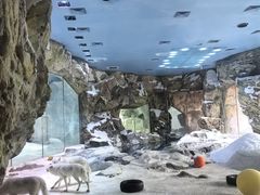 -珠海长隆海洋王国