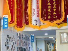 -佑安动物医院·全科·内窥镜中心(幸福巷店)