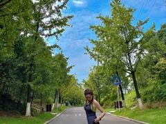 -铁山坪森林公园