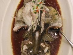 -金狮麟·新豫菜(金码大厦店)