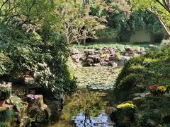 -上海醉白池公园