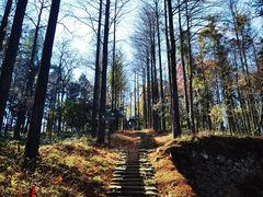 -莫干山风景区