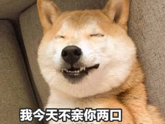 -联合动物医院(光谷诊疗中心)