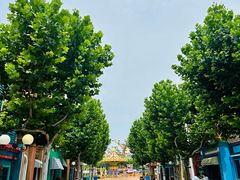 -青岛方特梦幻王国