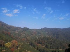 -西湖风景区十里琅珰-五云山