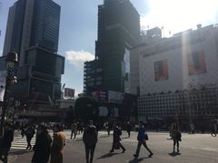 -涩谷区
