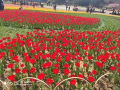 -无锡梅园公园