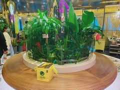 -润园四季椰子鸡火锅(海上世界店)