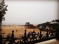 -海滨浴场