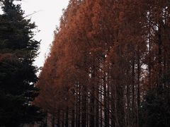 -国家植物园南园