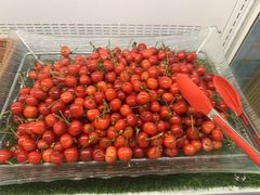 -东吴水韵(吴中店)