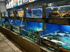 水产区-徐记海鲜(陕西历史博物馆|明德门店)