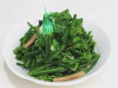 凉拌龙须菜-鼎泰丰(渔阳店)