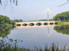 -昆山城市生态森林公园